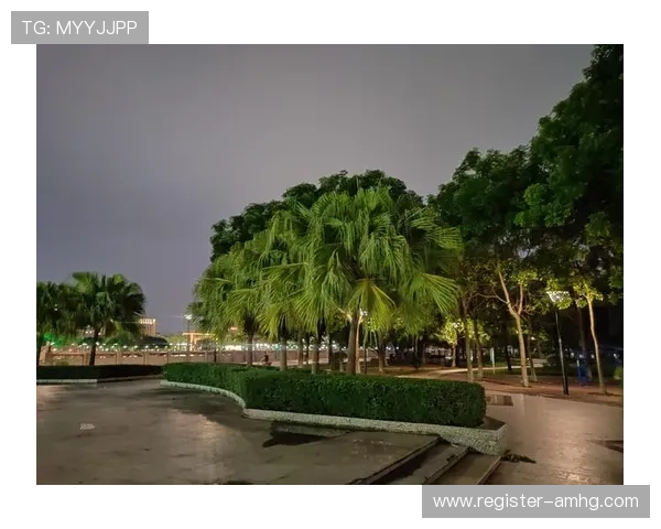 皇冠赢三张官方版下载，丰富的游戏玩法和多样的奖励机制，轻松赢取丰厚奖品尽在掌握