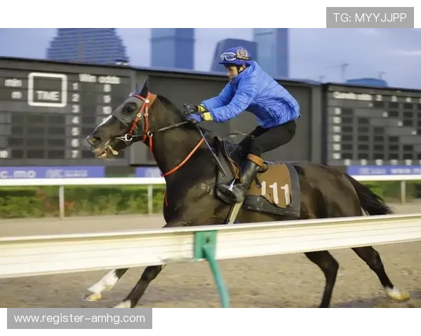 澳门赛马会网站赛事分析与预测报告，助你把握投注机会提升中奖率