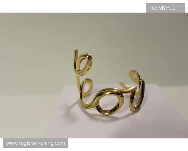 皇冠会员手机版最新版本功能详解全面提升您的使用体验